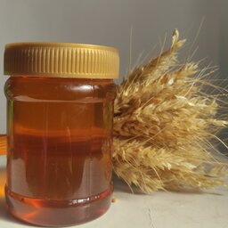 عسل گون استاندارد  (نیم کیلویی)