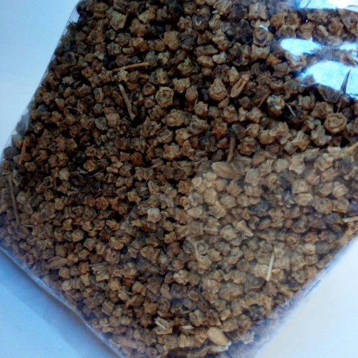 بذر برگ چغندر اعلا بسته 50 گرمی تولید 1402