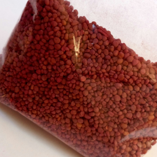 بذر تربچه قرمز اعلا گرد ضد عفونی شده بسته 50 گرمی