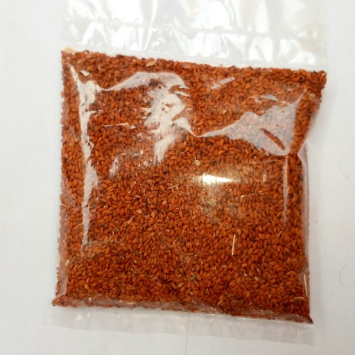 بذر شاهی برگ ریز اعلا بسته 50 گرمی تولید 1402