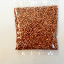 بذر تربچه قرمز اعلاء بسته یک کیلویی عمده