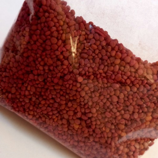 بذر تربچه قرمز اعلاء ضد عفونی شده در بسته یک کیلویی قیمت عمده