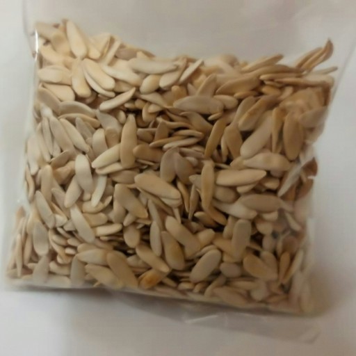 بذر خیار چنبر درجه 1 تولید 1402بسته 50 گرمی