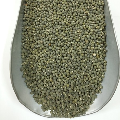 بذر بامیه سبز خرمشهری  اعلاء تولید 1402 بسته 50 گرمی با تخفیف ویژه