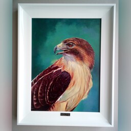 تابلو نقاشی پرنده شاهین رنگ روغن