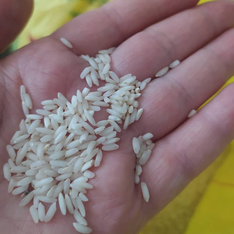 برنج عنبربو اهواز 5 کیلویی