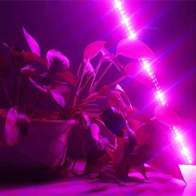 لامپ ریسه رشد گیاه 1 متری -ریسه رشد گیاه - چراغ اصلی رشد گیاه-لامپ اصلی رشد گیاه