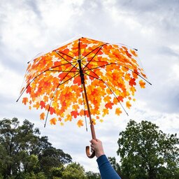 چتر پاییزی نارنجی-چتر طرح برگ نارنجی - چتر برگ اتشین - چتر  دونفره بزرگ 