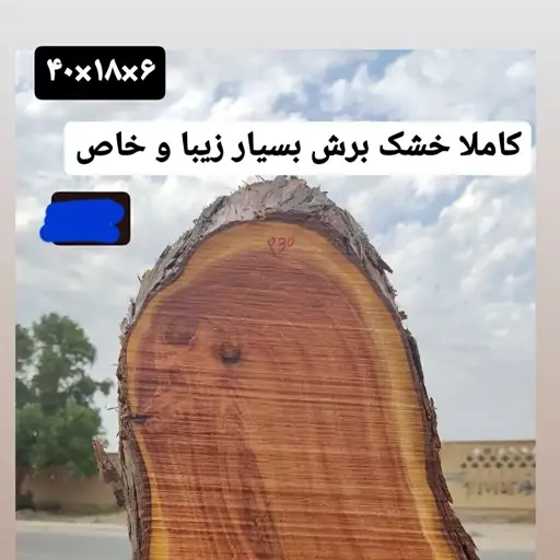 چوب خام و کالباسی کهور سرخ