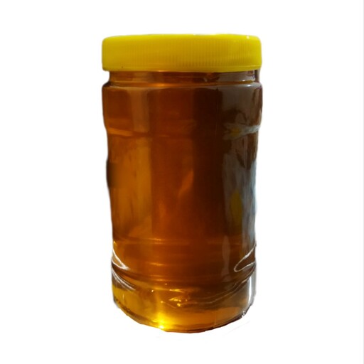 عسل گون آویشن طبیعی و درجه یک (یک کیلوگرم)