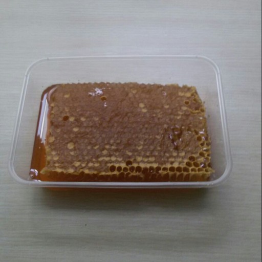 عسل طبیعی مومدار معمولی چند گیاه خلخال 500 گرم