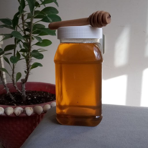 عسل گون گز فوق العاده خوش طعم ( یک کیلویی) به همراه یک عدد قاشق چوبی عسل رایگان