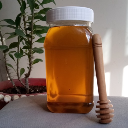 عسل گون گز فوق العاده خوش طعم ( یک کیلویی) به همراه یک عدد قاشق چوبی عسل رایگان