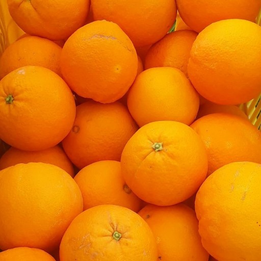 پرتقال تامسون شمال(5کیلویی)
