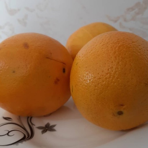 پرتقال تامسون درجه یک(5 کیلویی)