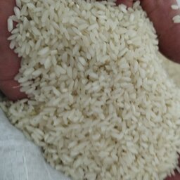 برنج چمپااصل میداودباعطروبویی استثنایی