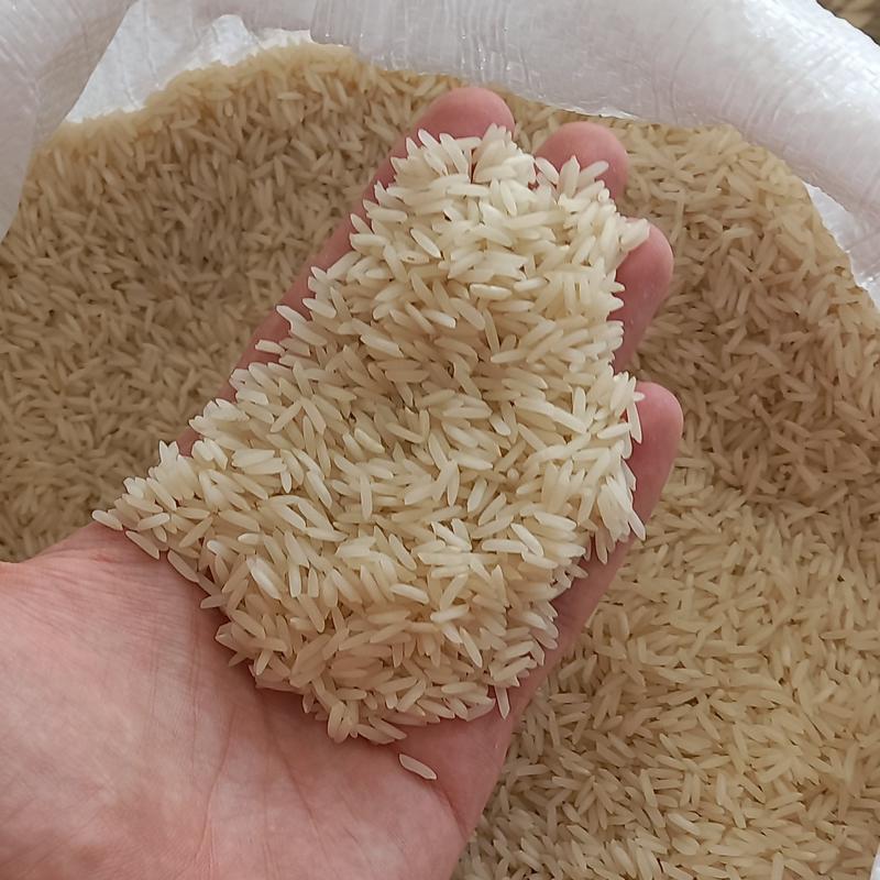 برنج شیرودی درجه یک استخوانی (10 کیلویی)