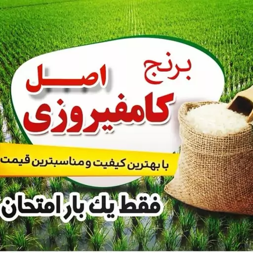 برنج کامفیروزی اصل 10 کیلویی 