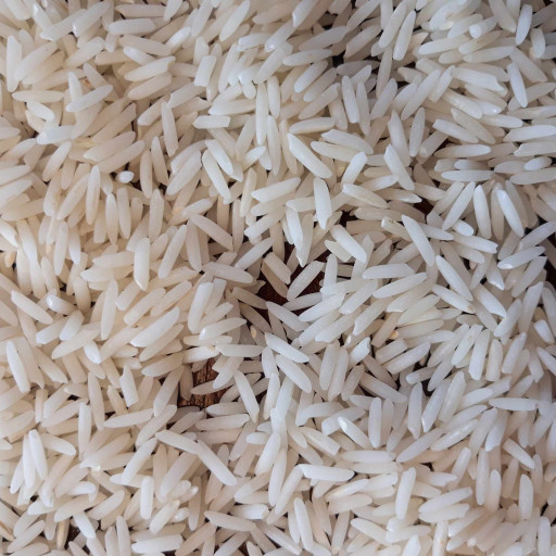برنج دمسیاه آستانه اشرفیه