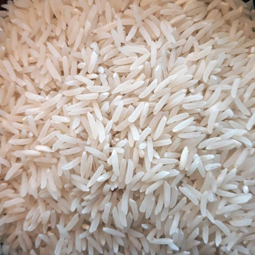 برنج صدری استخوانی گیلان