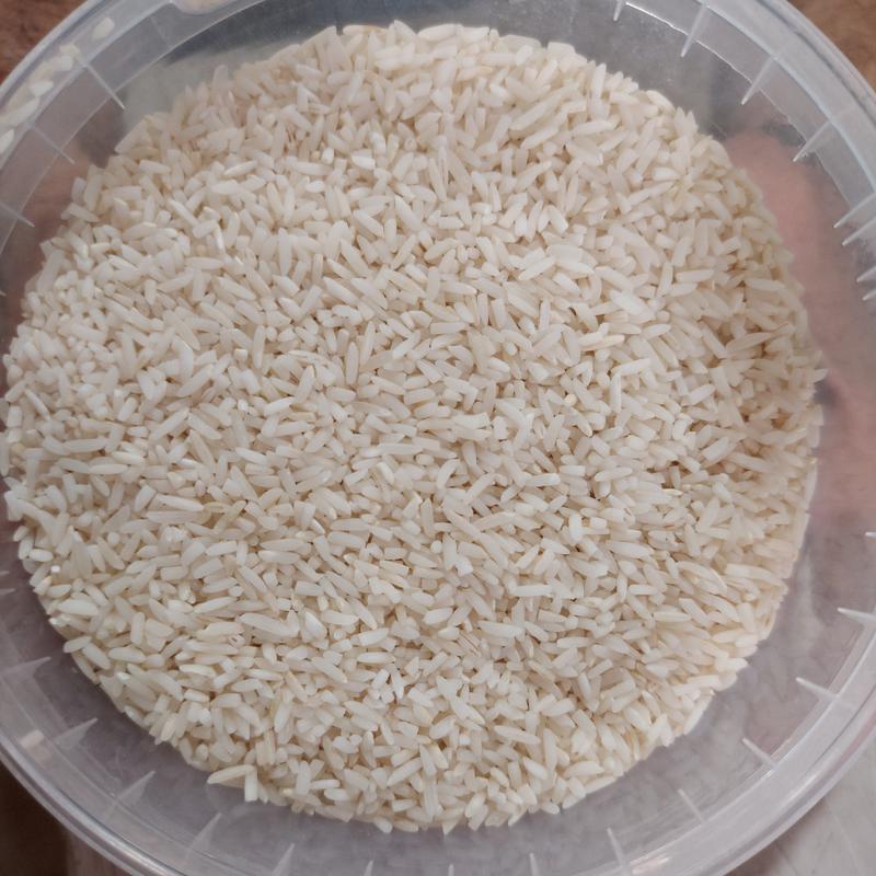 برنج سرلاشه فجر  یک کیلویی برای نمونه امساله