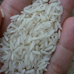 برنج هاشمی درجه یک (یک کیلو)