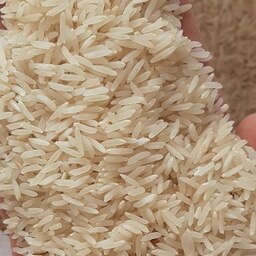 برنج کشت دوم باتخفیف ویژه  بابرندطراوت صابریان