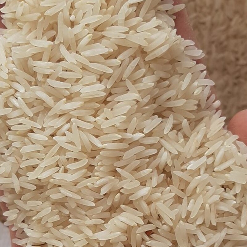 برنج کشت دوم باتخفیف ویژه  بابرندطراوت صابریان