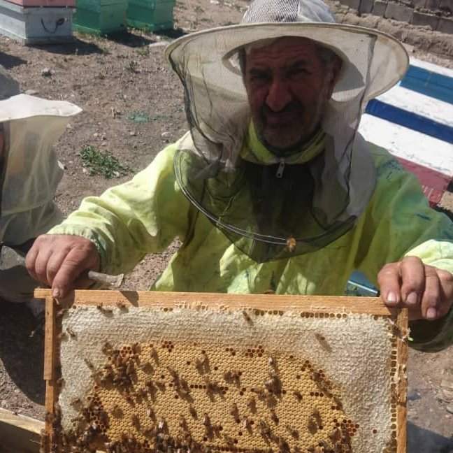 عسل پاییزه کنار درتضمینی