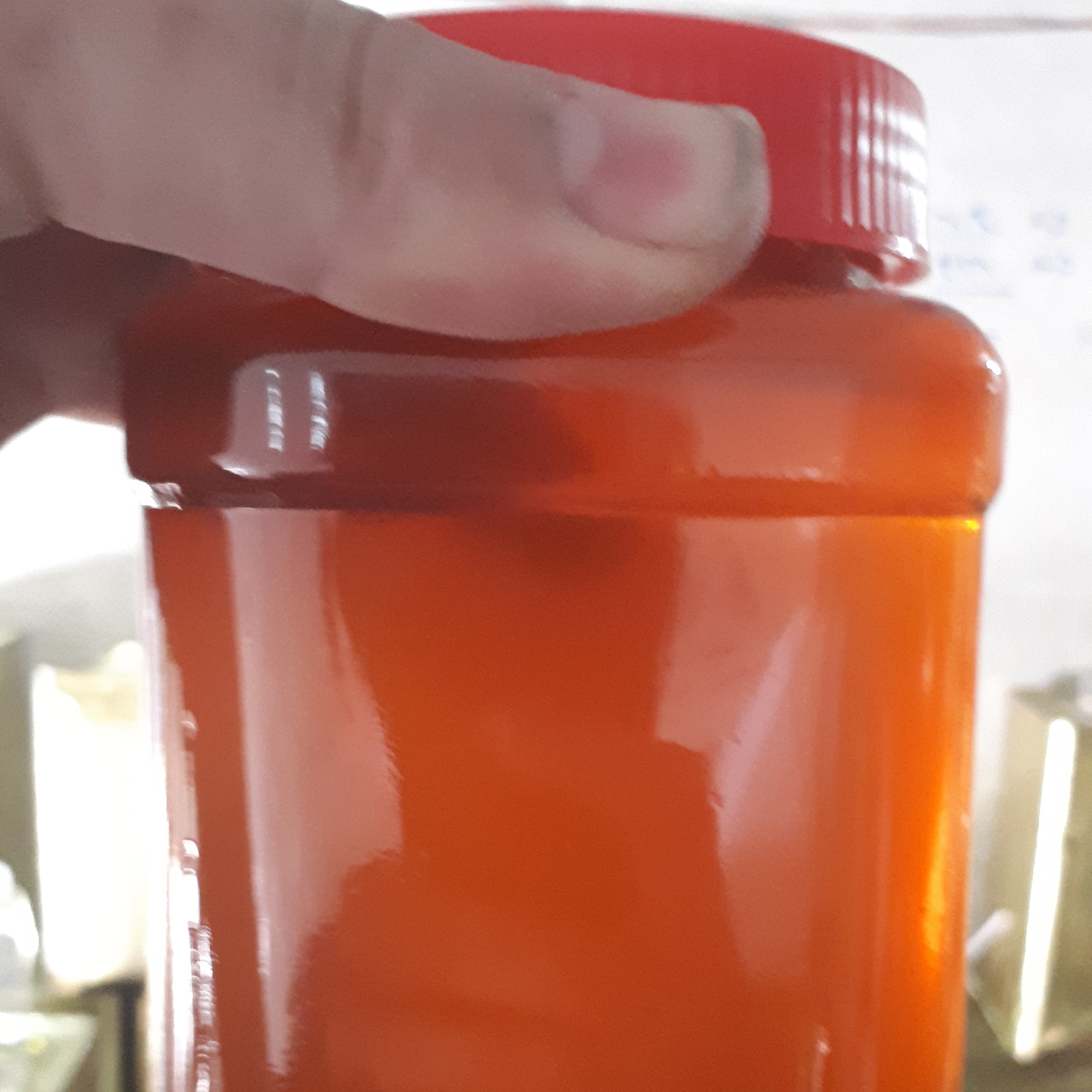 عسل پاییزه کنار درتضمینی