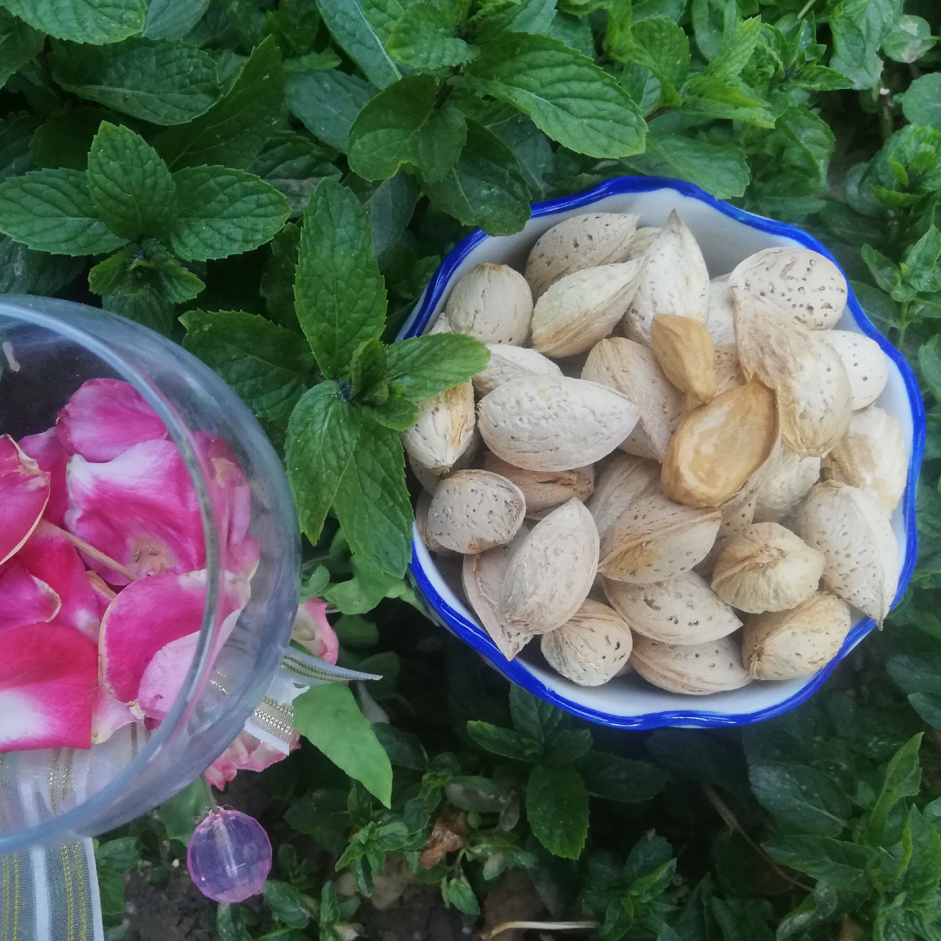 بادام پوست کاغذی(سفید) اعلاء(500گرمی)(ارسال رایگان)