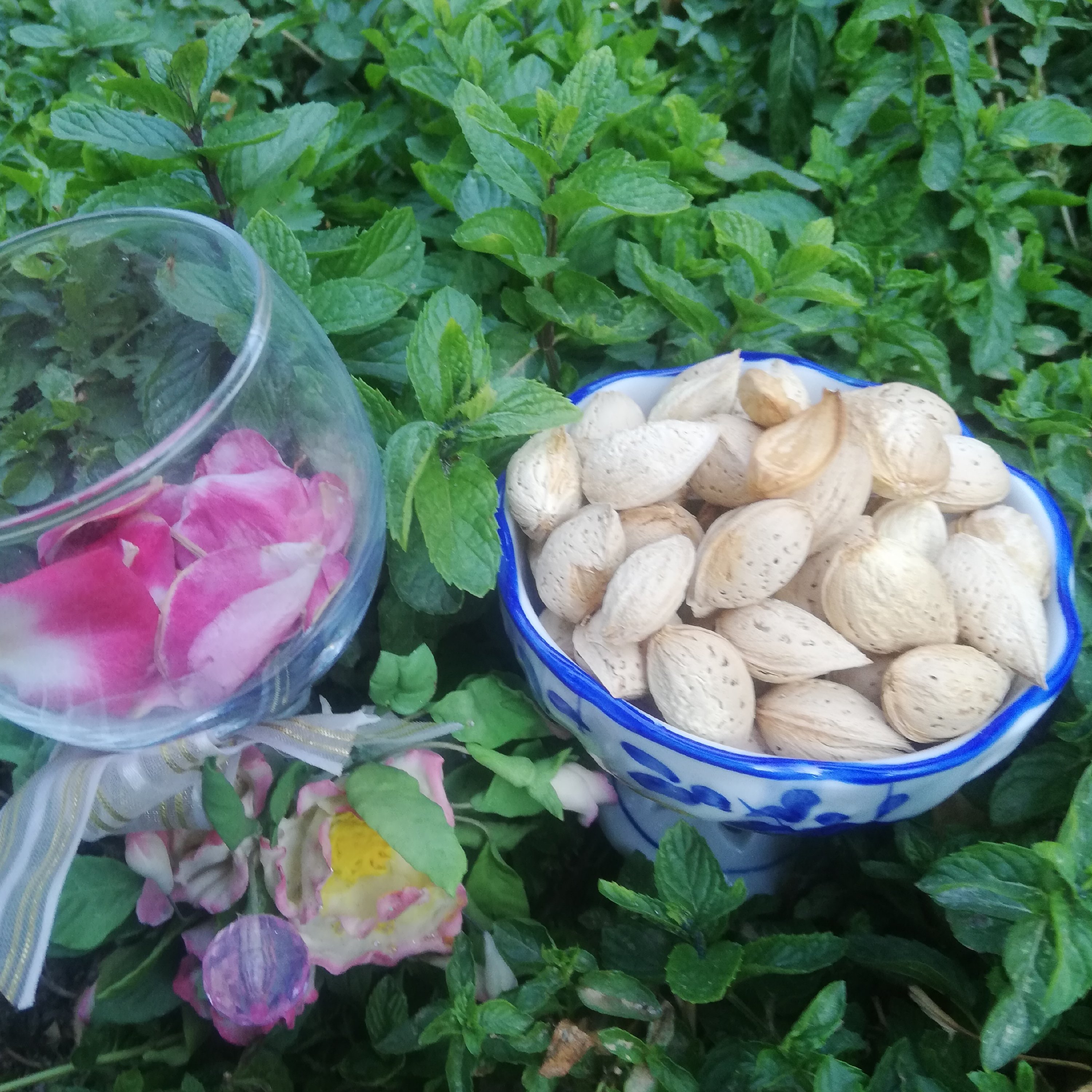 بادام پوست کاغذی(سفید) اعلاء(500گرمی)(ارسال رایگان)