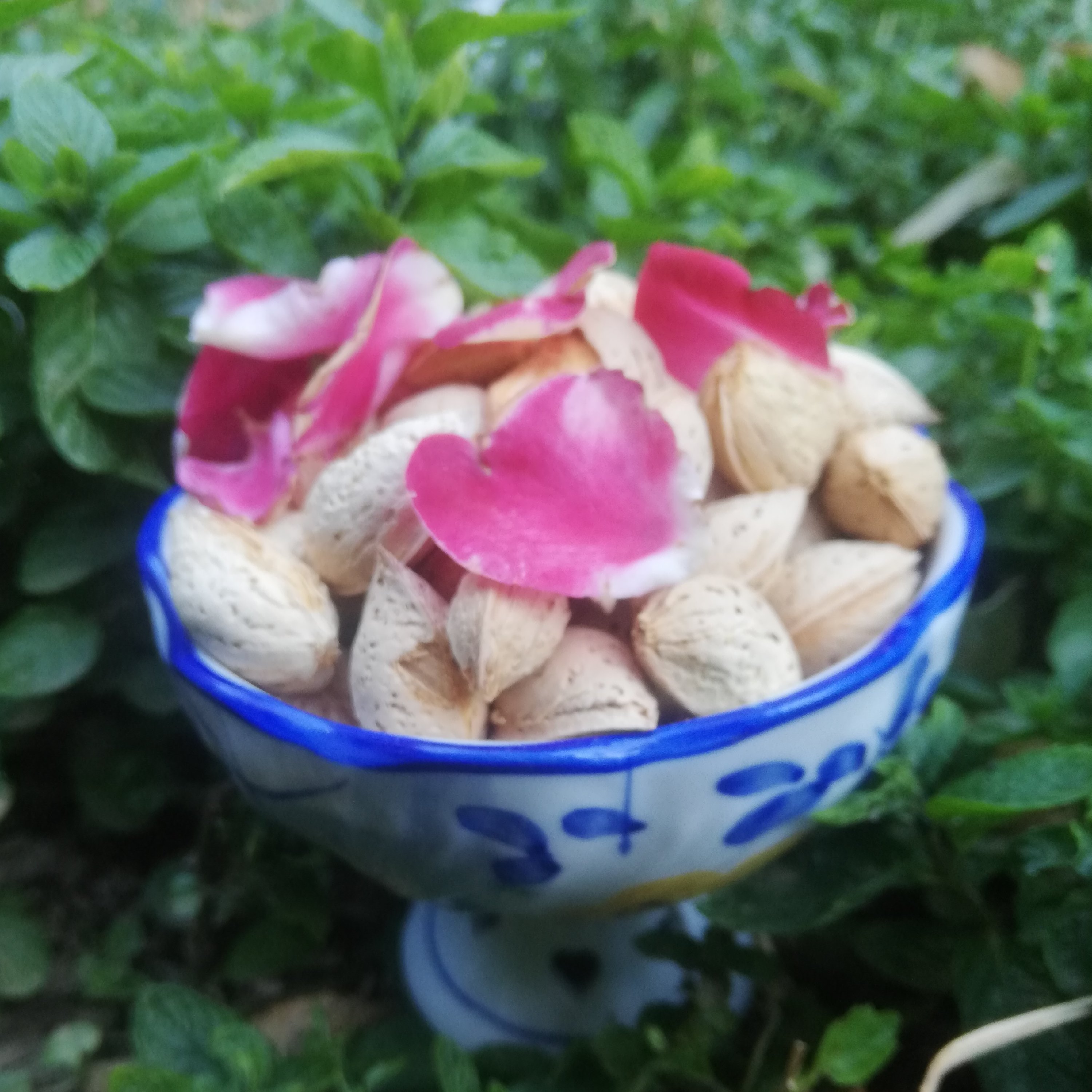 بادام پوست کاغذی(سفید) اعلاء(500گرمی)(ارسال رایگان)