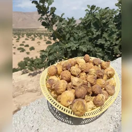 انجیر خشک استهبان خرمایی(900گرمی) ارگانیک و دیم سایز متوسط با ارسال رایگان  ایلیاتین