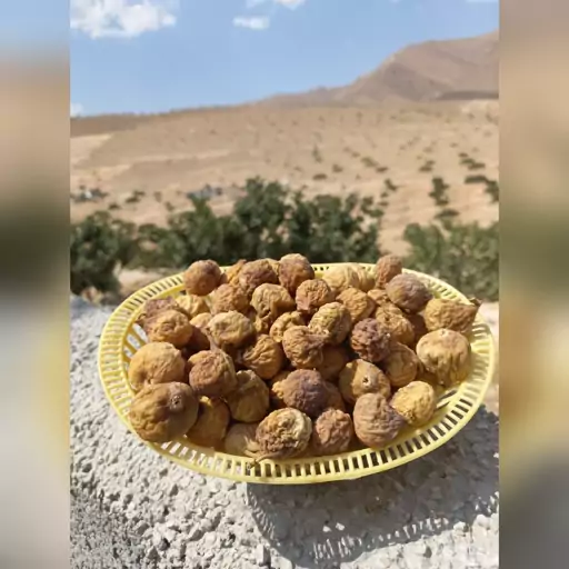 انجیر خشک استهبان خرمایی(900گرمی) ارگانیک و دیم سایز متوسط با ارسال رایگان  ایلیاتین