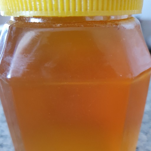 عسل طبیعی بهاره  خارشتری یک کیلویی