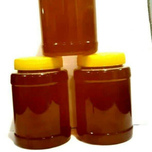 عسل گز محلی طبیعی خوشمزه مشکات