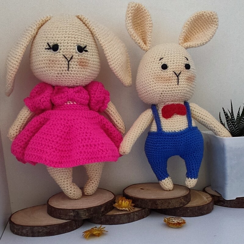 خرگوش دختر و پسر 