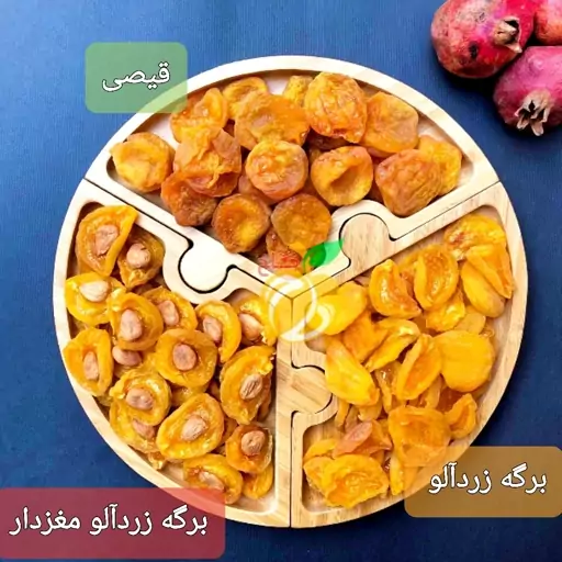 برگه زردآلو مغزدار گاخ 100 گرم