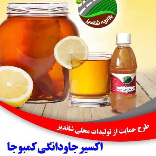 اکسیر جاودانگی کمبوجا(کمبوچا) 310 گرمی