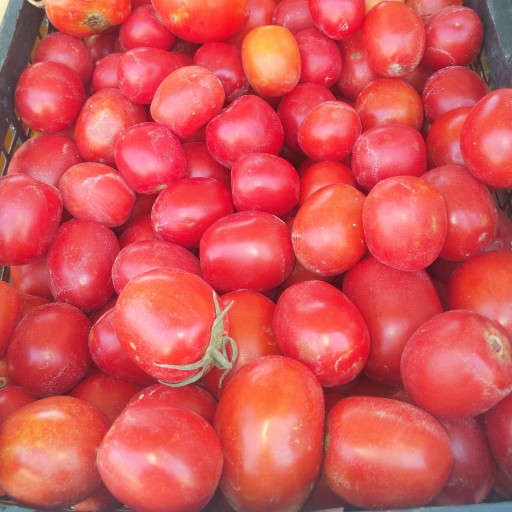 گوجه کبابی تره بار 1 کیلو کد 657
