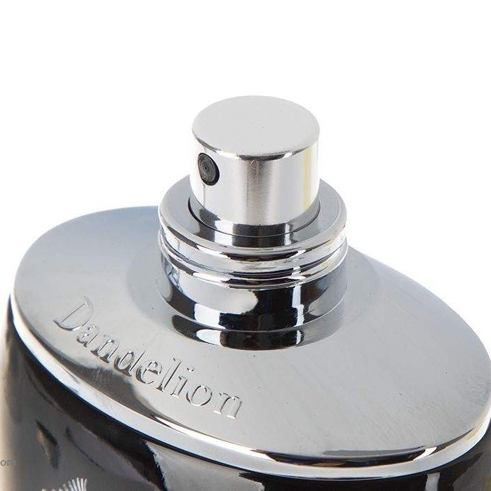 ادوپرفیوم مردانه Party king حجم 100میل دندلیون