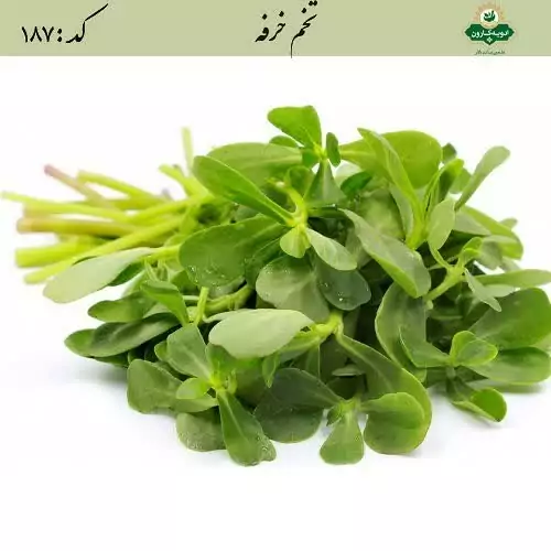 تخم خرفه (145گرم) کارون