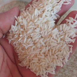 برنج طارم ندا کیلویی 49 هزار تومن(20 کیلویی) (ارسال رایگان )امساله و پاک شده و قد دار
