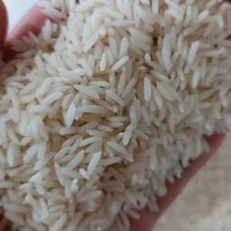 برنج شیرودی امساله درجه یک (20کیلویی)محصول مزارع گیلان تالش ارسال رایگان