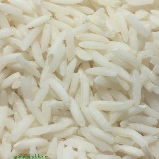 برنج شیرودی استخوانی 10 کیلویی