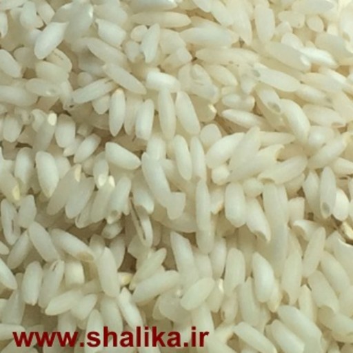 برنج عنبربو معطر 10 کیلویی