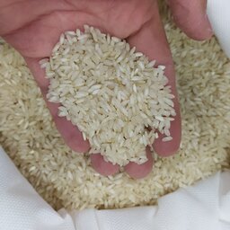 برنج عنبربو  درجه یک (10کیلویی )