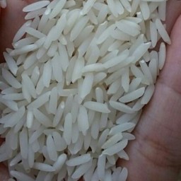 برنج هاشمی تازه و درجه یک امساله.از مزارع ساحلی استان گیلان