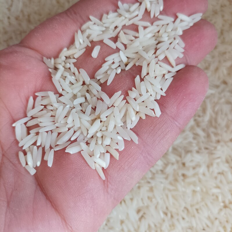 برنج هاشمی آستانه معطر درجه یک 10 کیلویی